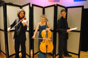 Feestelijk openingsconcert Muziek in Huis met Trio Rodin in Johanneskerk